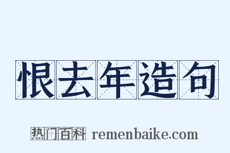 恨去年造句是什么意思的图片